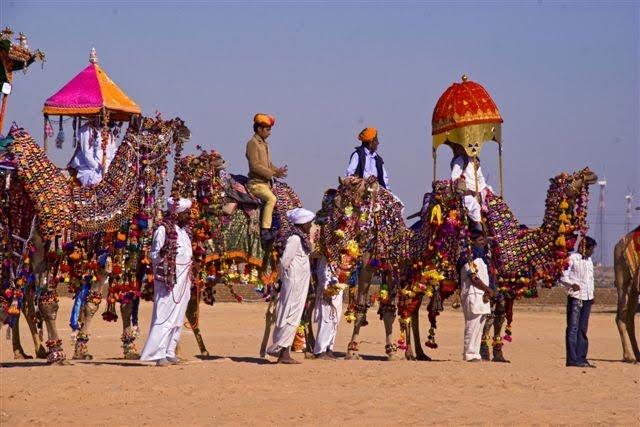 Camel Fair, Bikaner