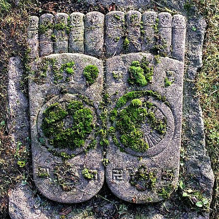 Footsteps Of Buddha