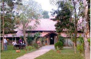 Chitwan Hotels