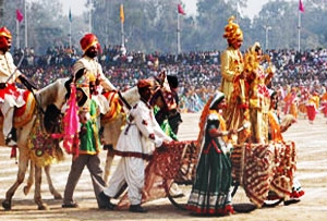 Nagaur Fair