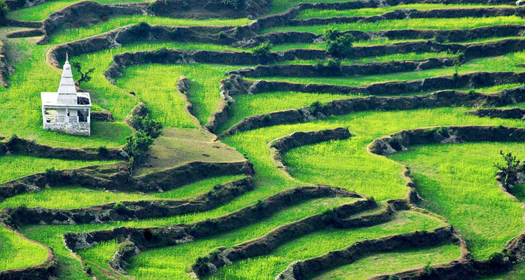Ranikhet