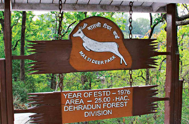 Dehradun