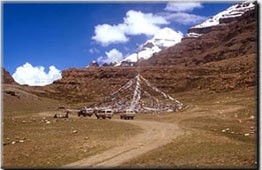 Leh Adventure Tours, Pangong Lake in Ladakh, Leh-Ladakh Tours, Travel to Leh.